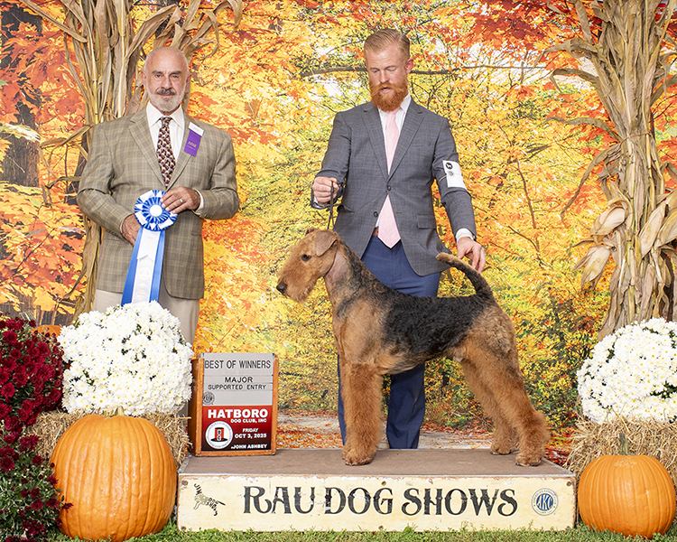 Derek - Joval Spice It Up