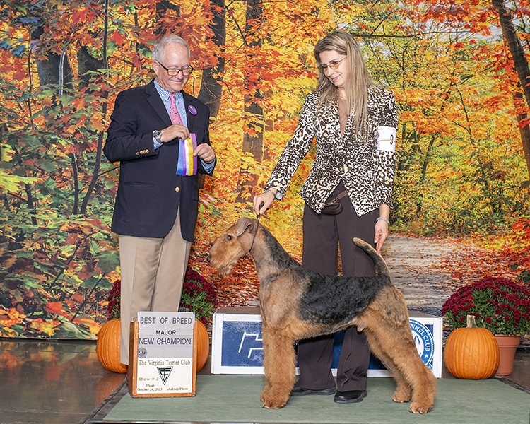 Derek - Joval Spice It Up