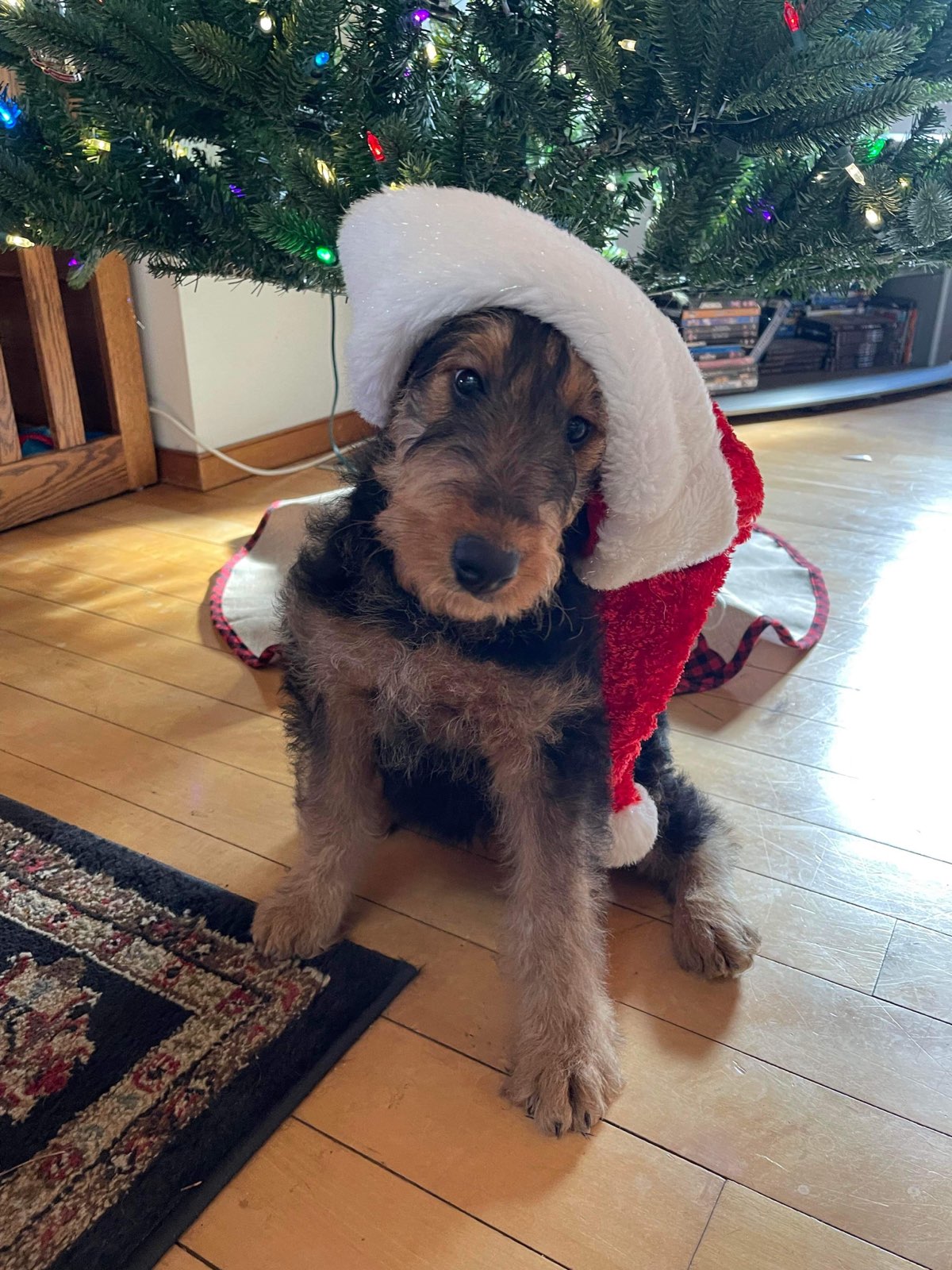 !! Merry Christmas from JOVAL !!