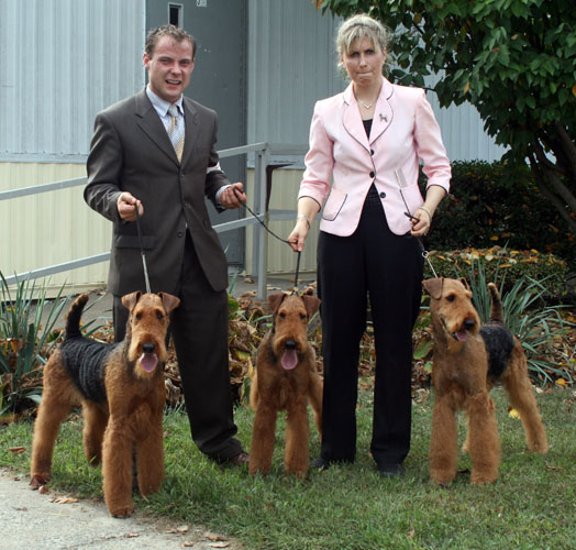 Joval Airedales - Montgomery 2007 Gallery - Breeder of Top Quality ...