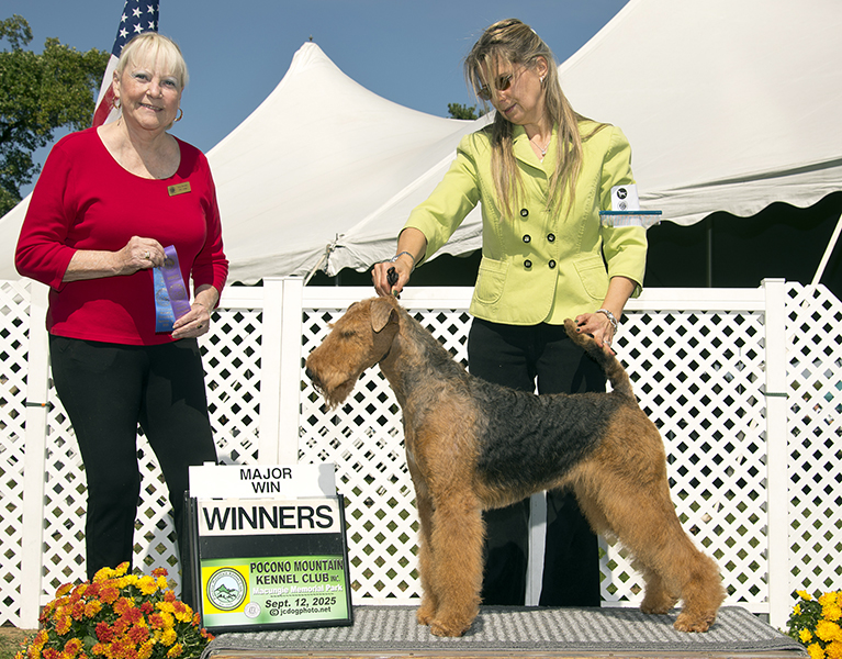 Nikki - Joval's In the Nick of Time