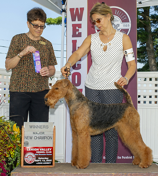 Nikki - Joval's In the Nick of Time